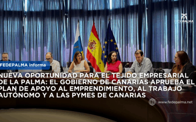 Nueva oportunidad para el tejido empresarial de La Palma: el Gobierno de Canarias aprueba el Plan de Apoyo al Emprendimiento, al Trabajo Autónomo y a las Pymes de Canarias